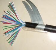 PTYA22，PTY22，PTYV信號電纜