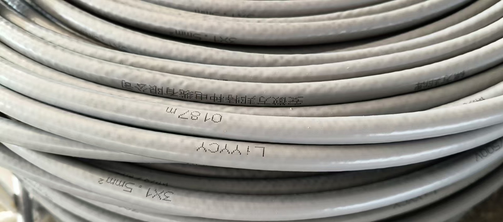 17442460278140.jpg 202411251710028965.jpg